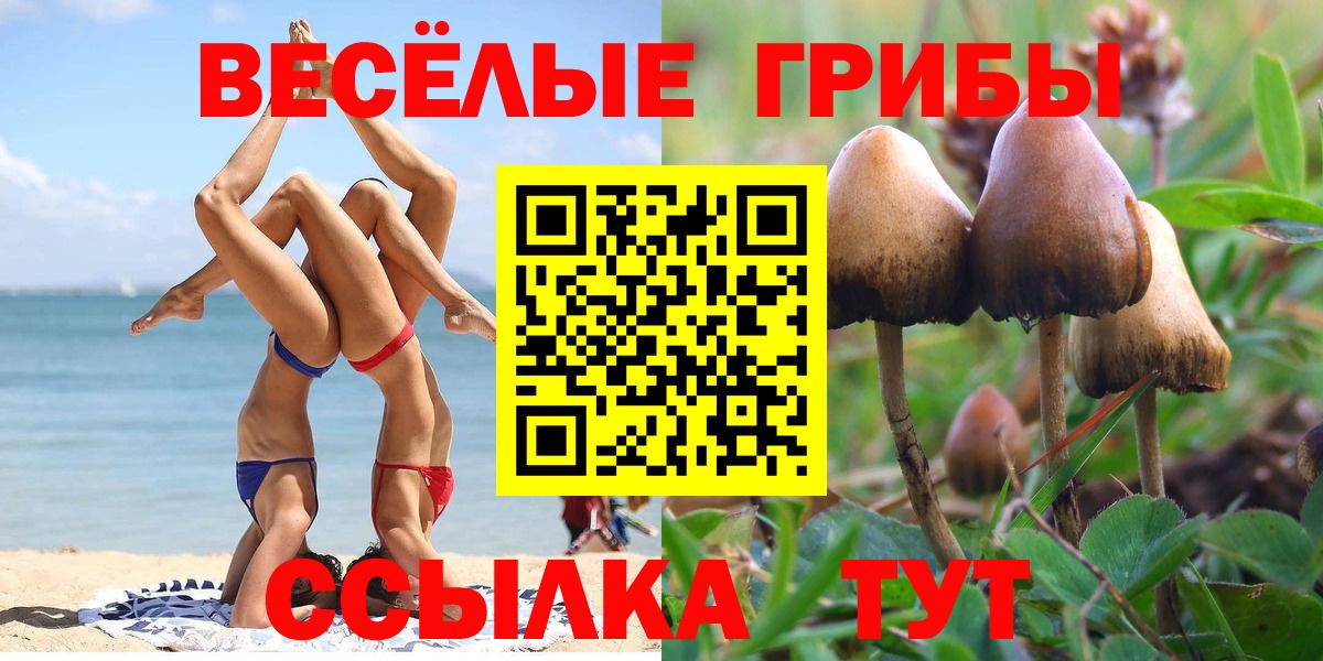 Псилоцибиновые грибы MAGIC MUSHROOMS Петровск