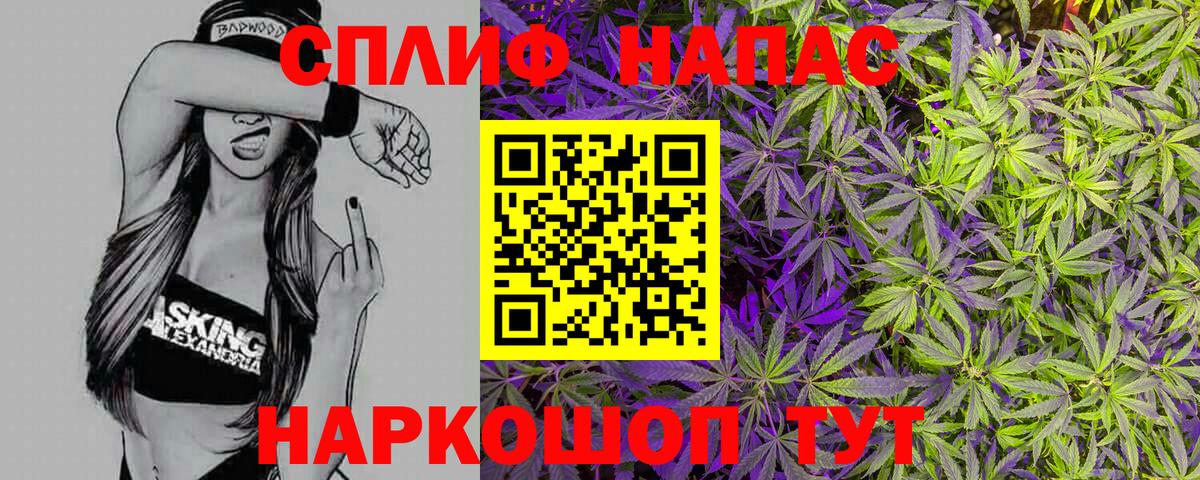 Конопля AK-47  Вход с VPN  Петровск  МАРИХУАНА Ganja  Конопля сатива 